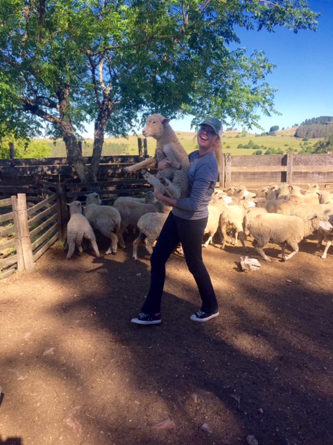 Girl holding ewe in ewe pen