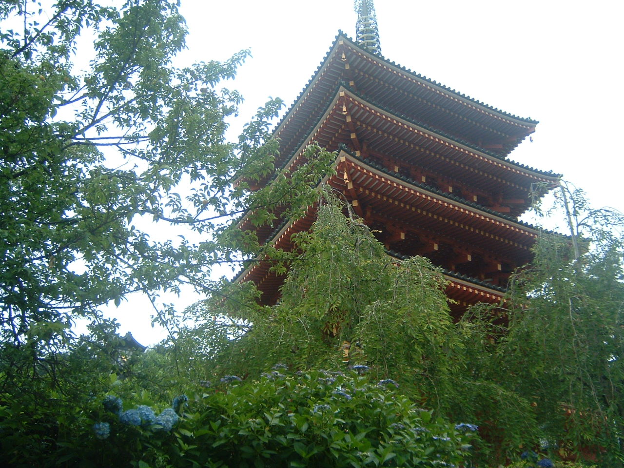 A shrine building in Tokyo