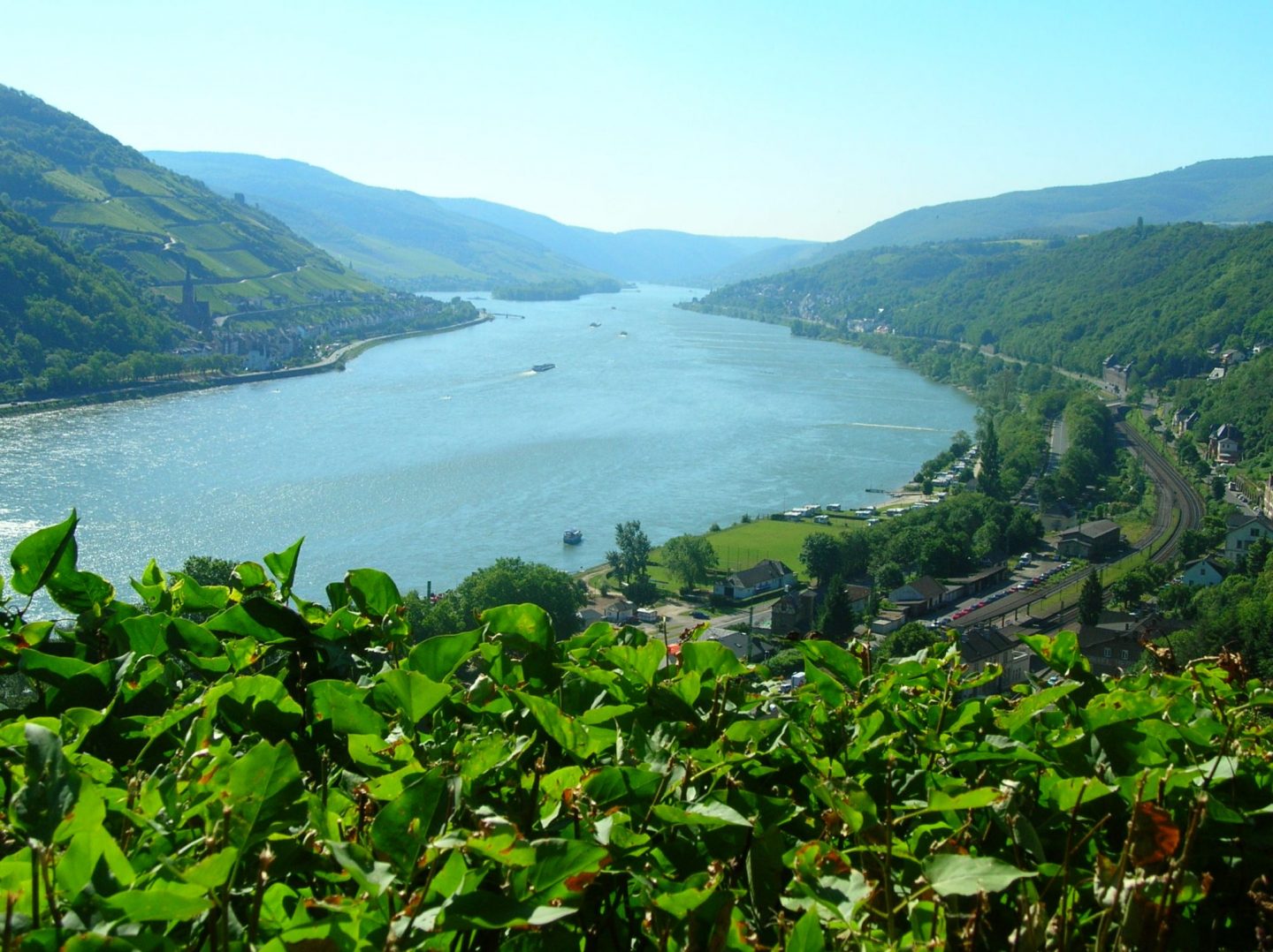 Green scenery and water in Germany