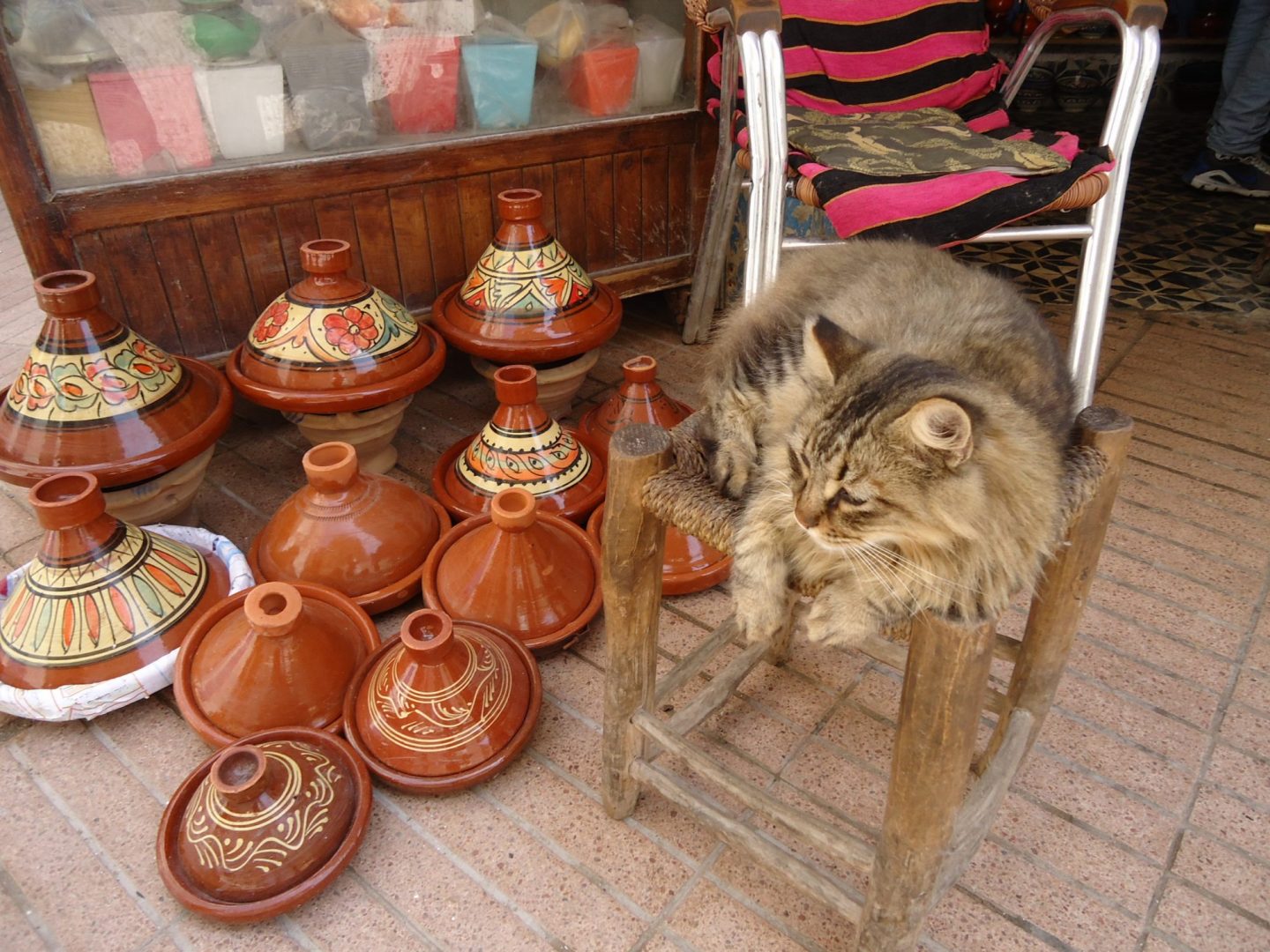 Cat next to hand-painted tangines