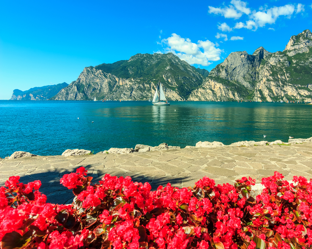 Bougainvillea over paved walkway with sea, mountains, and sail boat in the distance