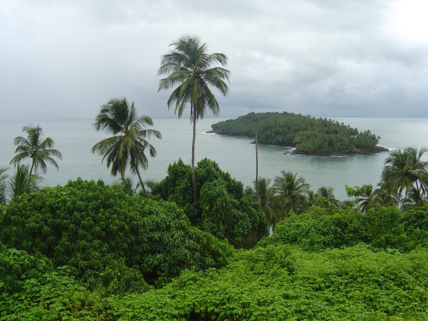 New Guinea