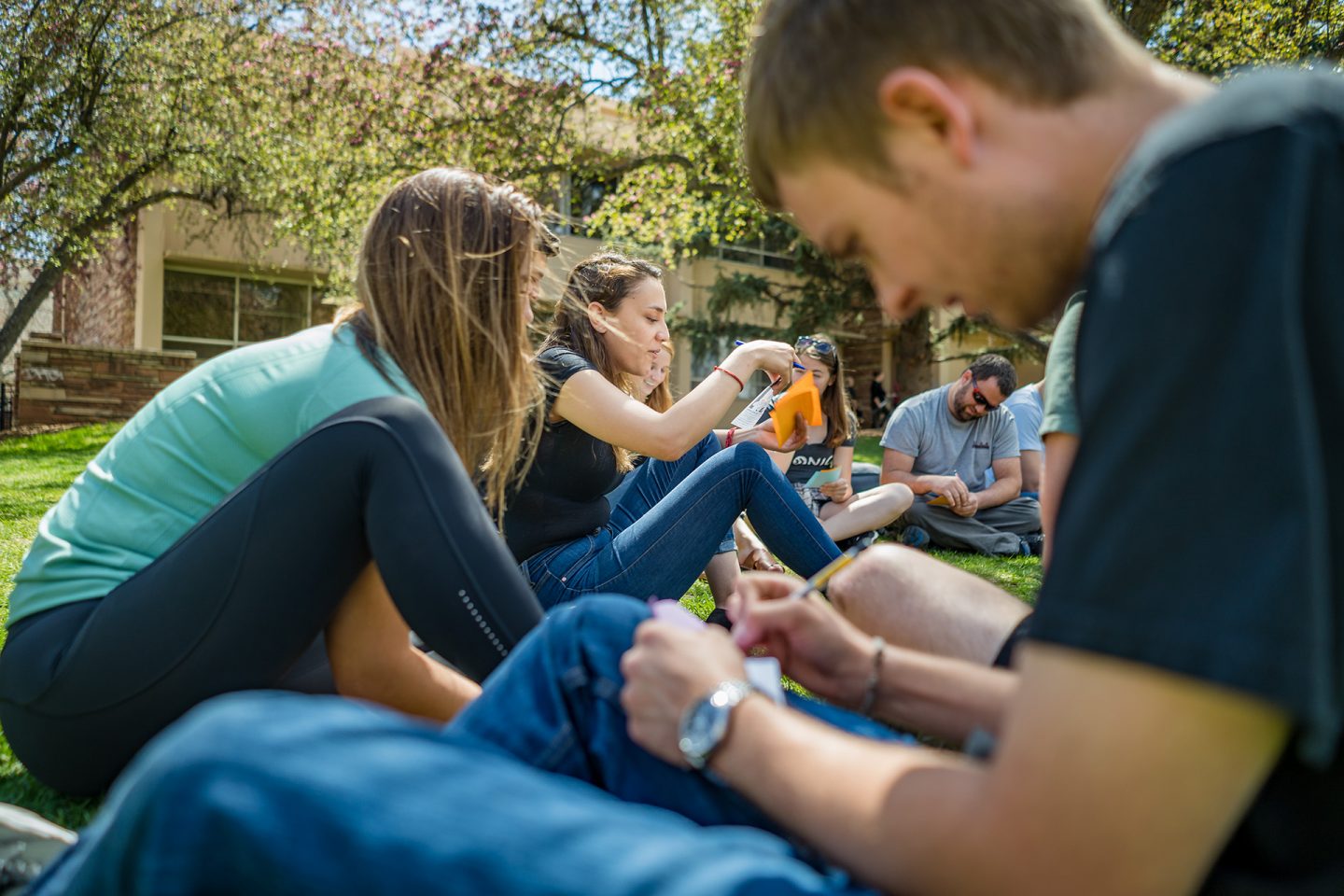 Students studying together outside