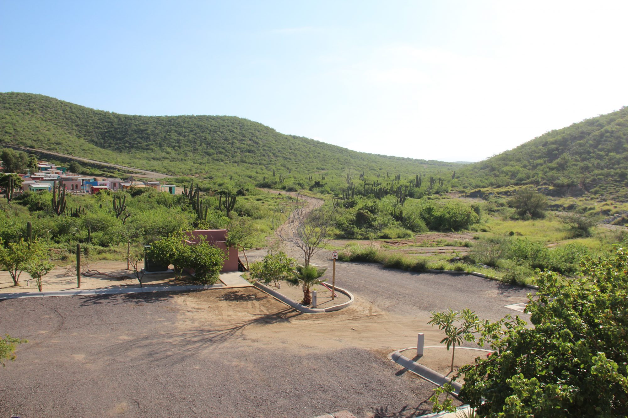 Todos Santos scenery