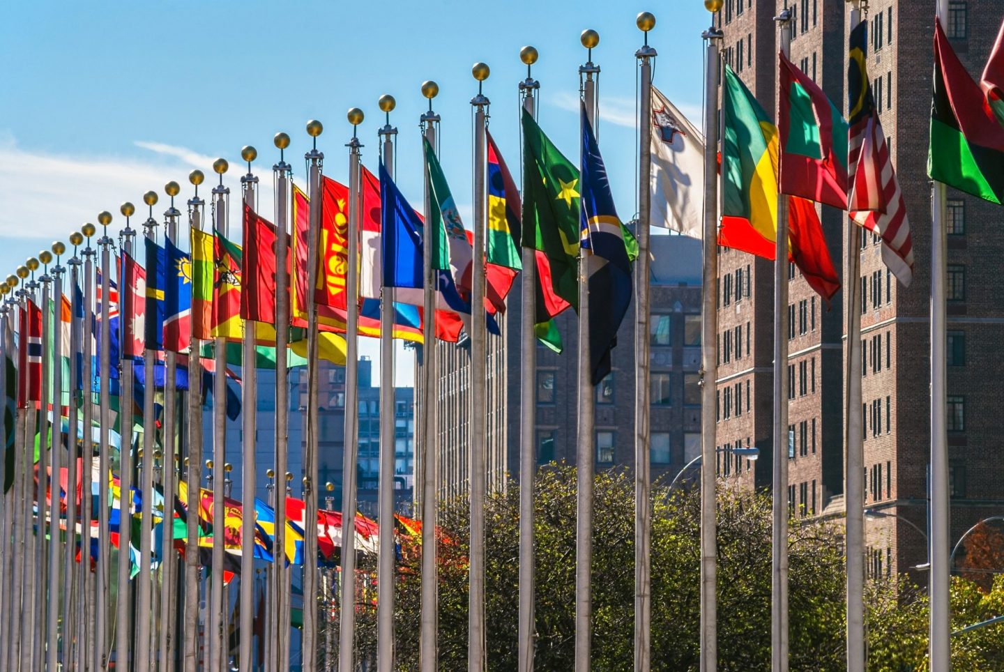 Flags from around the world displayed outside the United Nations
