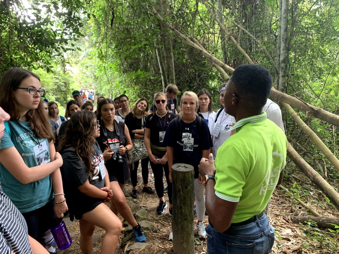 A group of students with lanyards gather around a guide in a lime green shirt. They are in a forest setting and the trees are full of green leaves