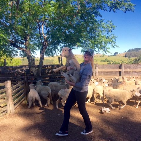 CSU student fulfills longtime dream of studying abroad