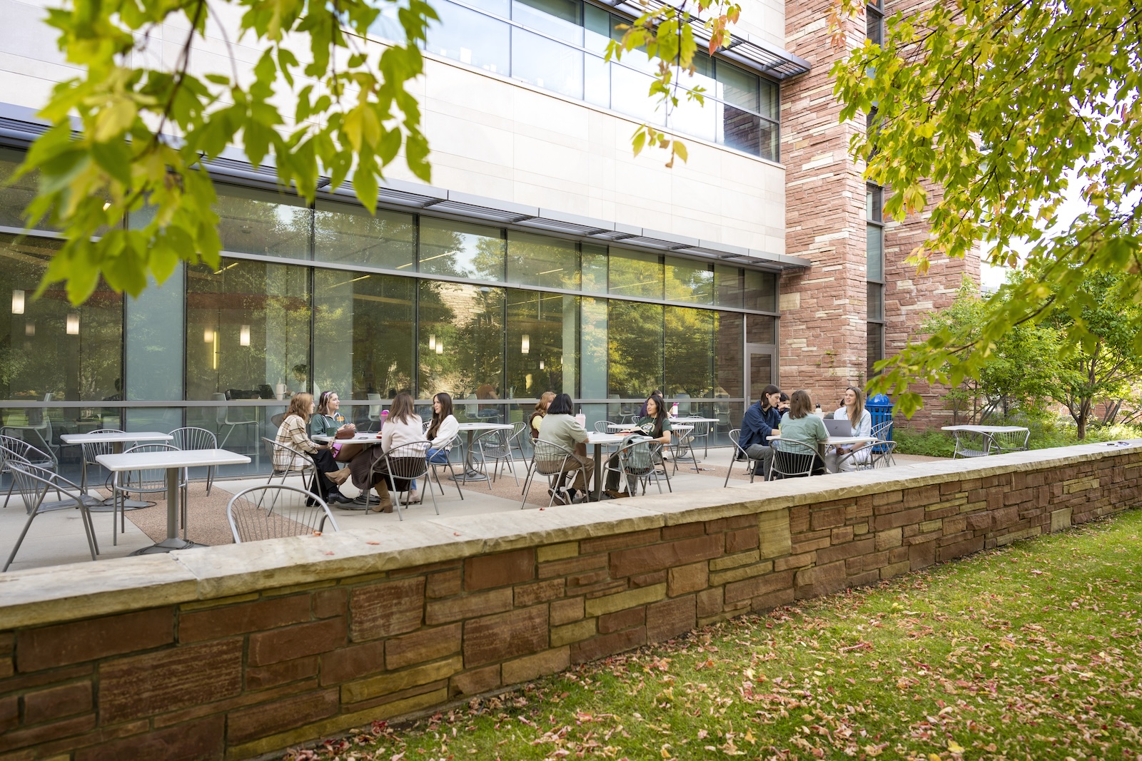Students sitting at outdoor tables on a campus patio beside a stone wall and glass building, framed by tree branches in fall.