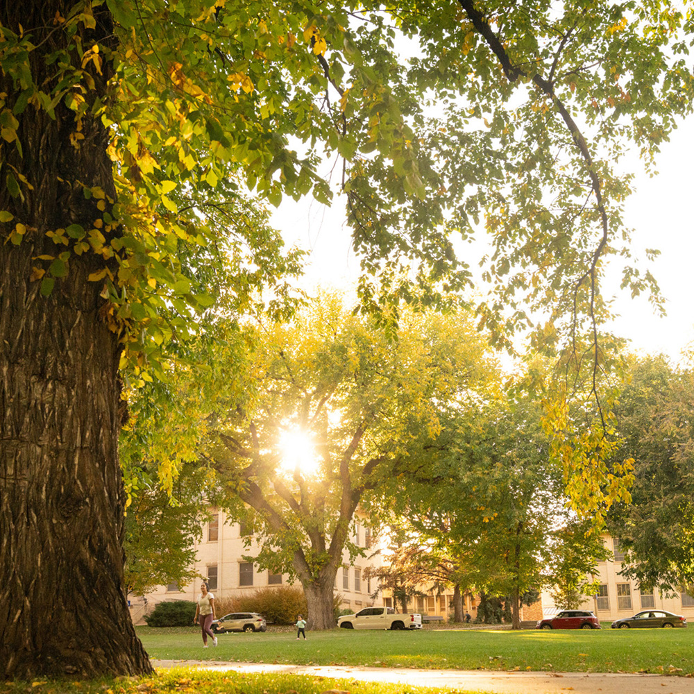 Celebrate! Colorado State provost award winners for 2024